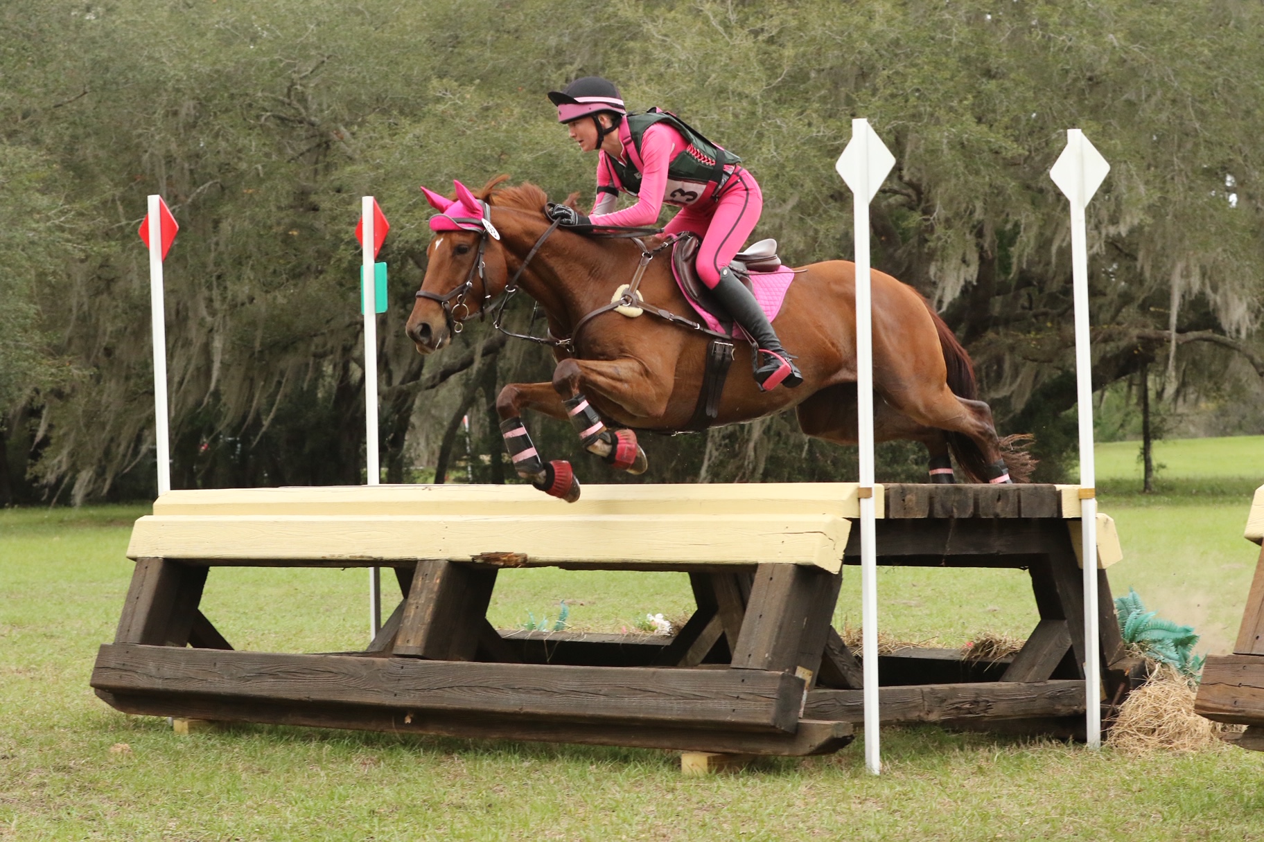 Third slide: Horse going over obstacle