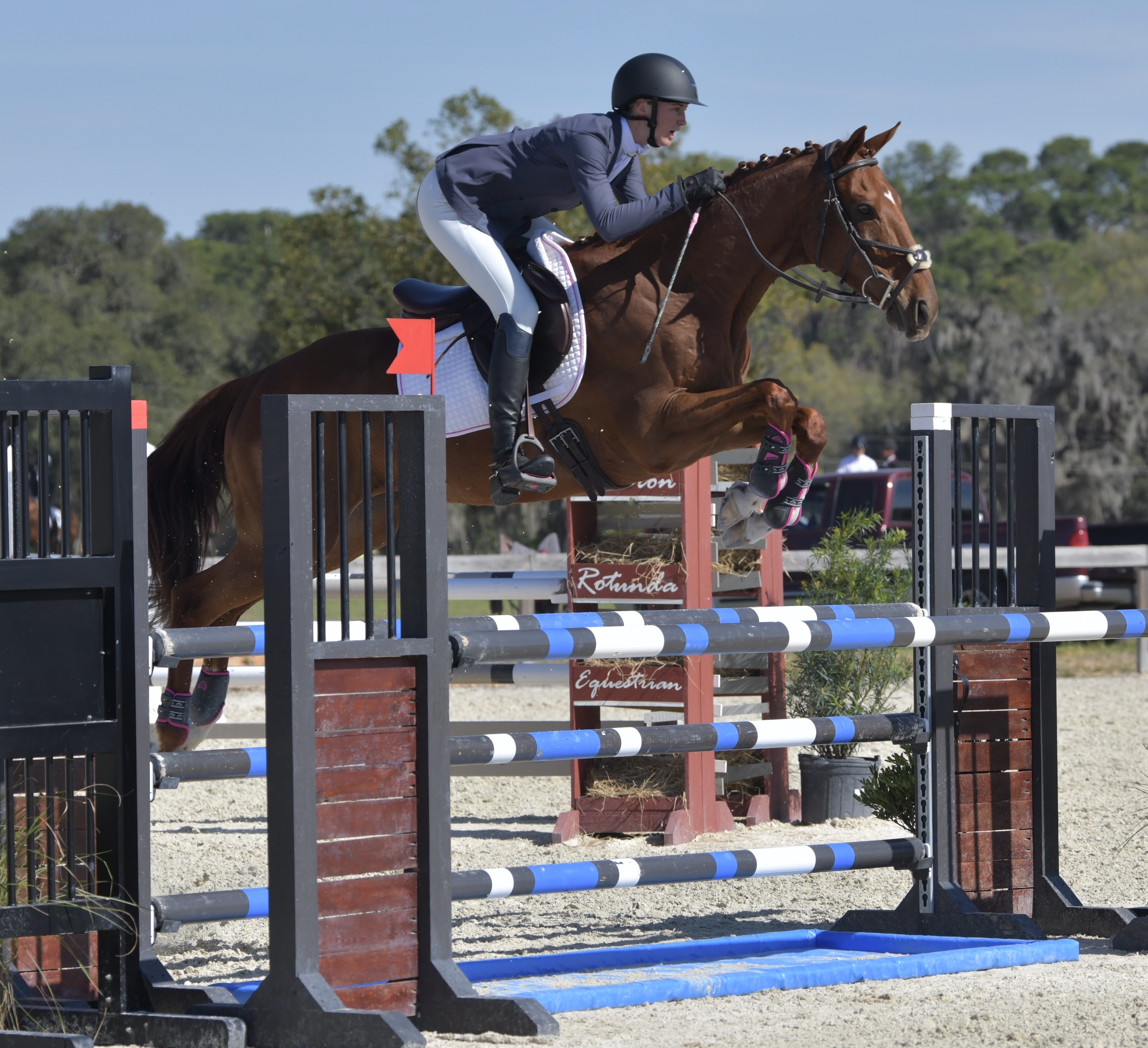 Seventh slide: Horse clearing bar obstacle