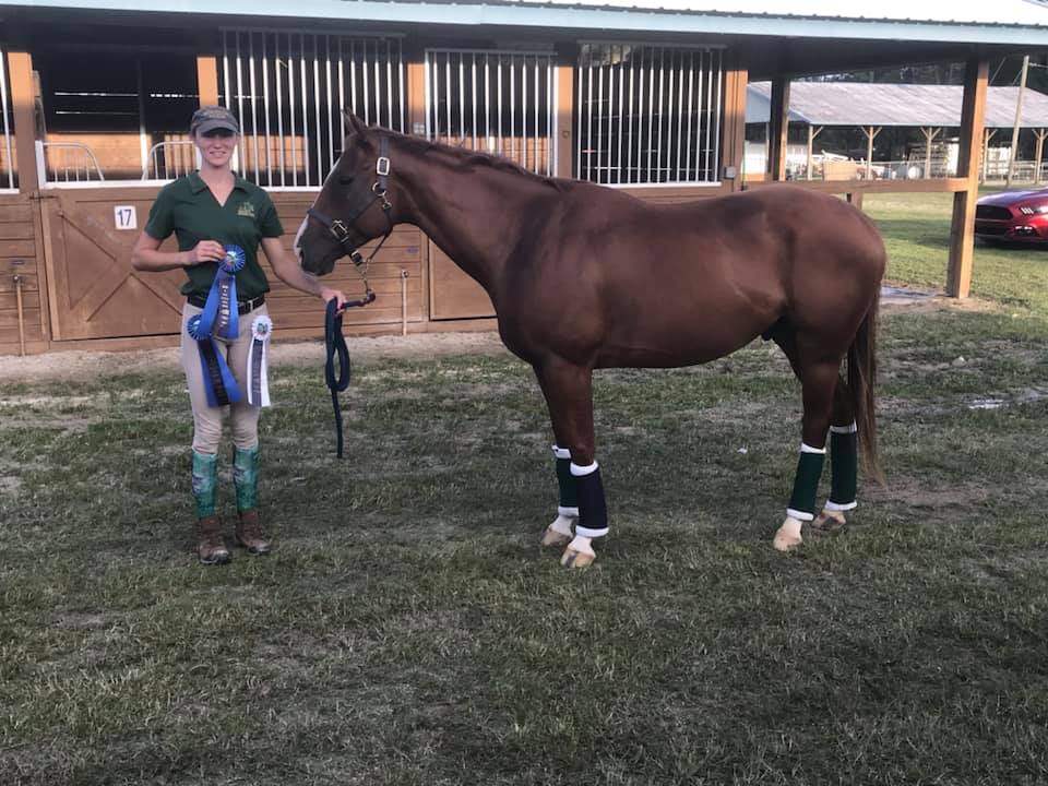Horse Dawn to Dark Donny