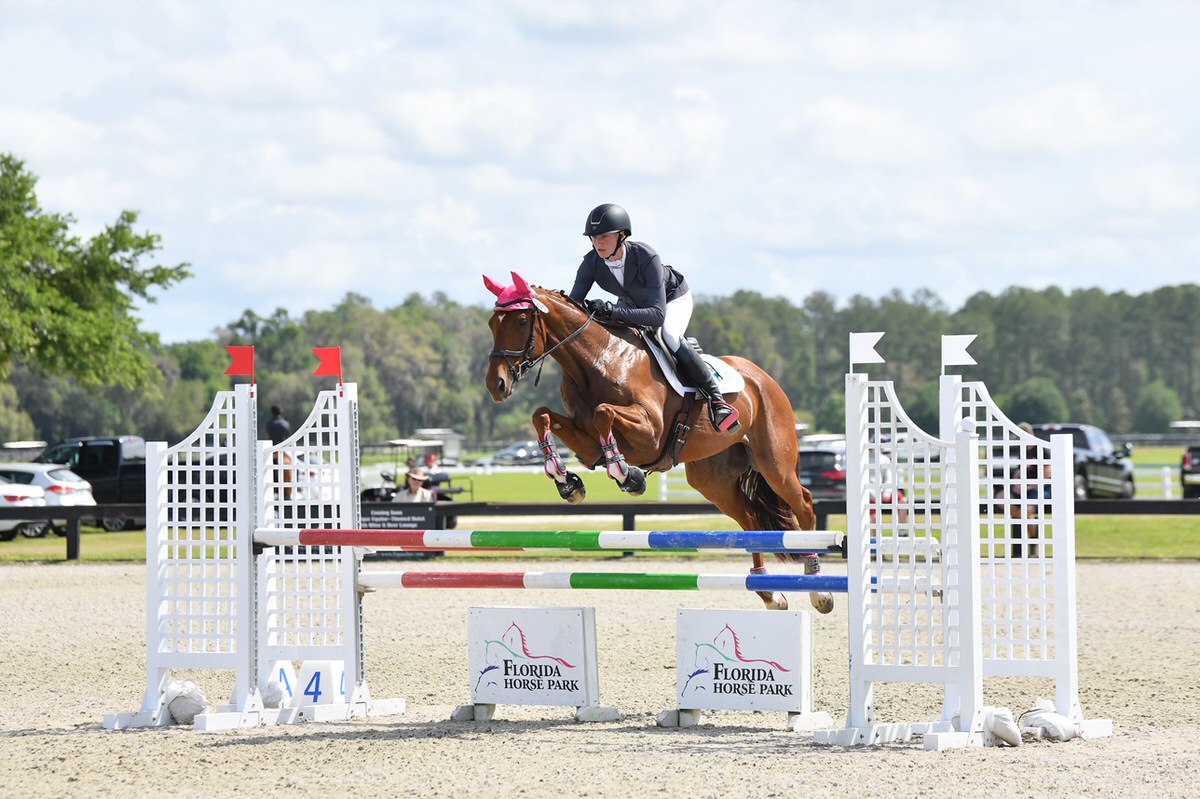 Rider and horse jumping