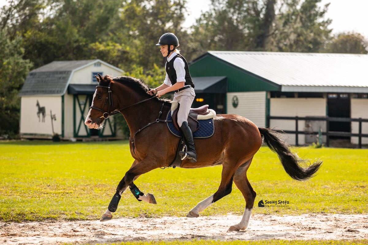 Rider and horse trotting