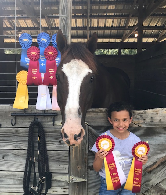 Show Success 10