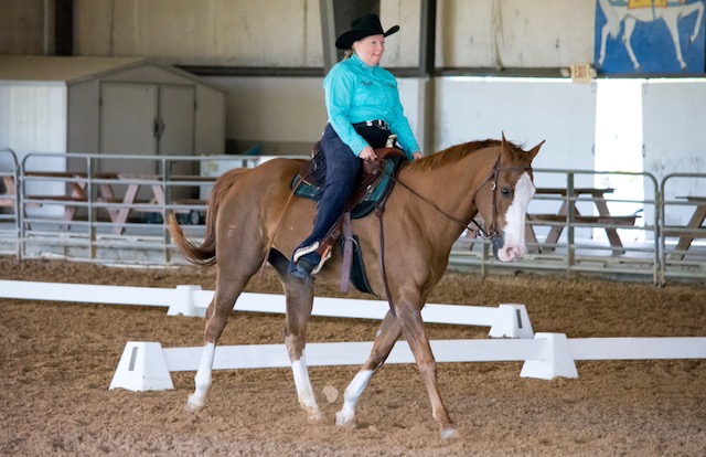 Show Success 9