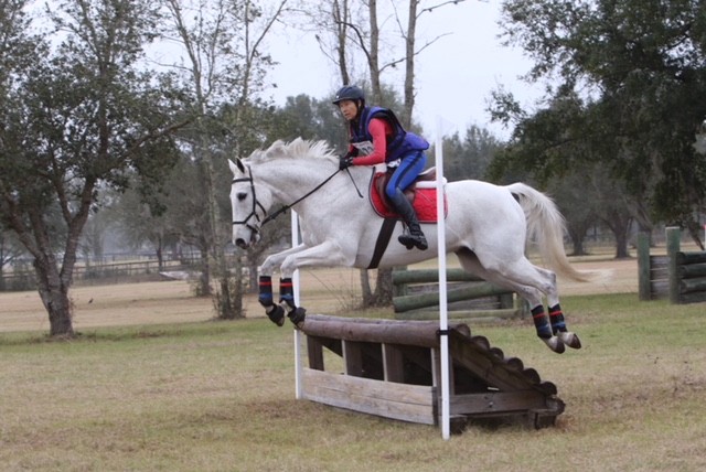 Show Success 15