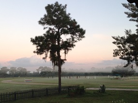 Mikenda Farm Boarding Area