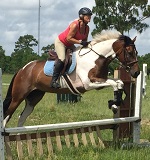 Lesson Image 1