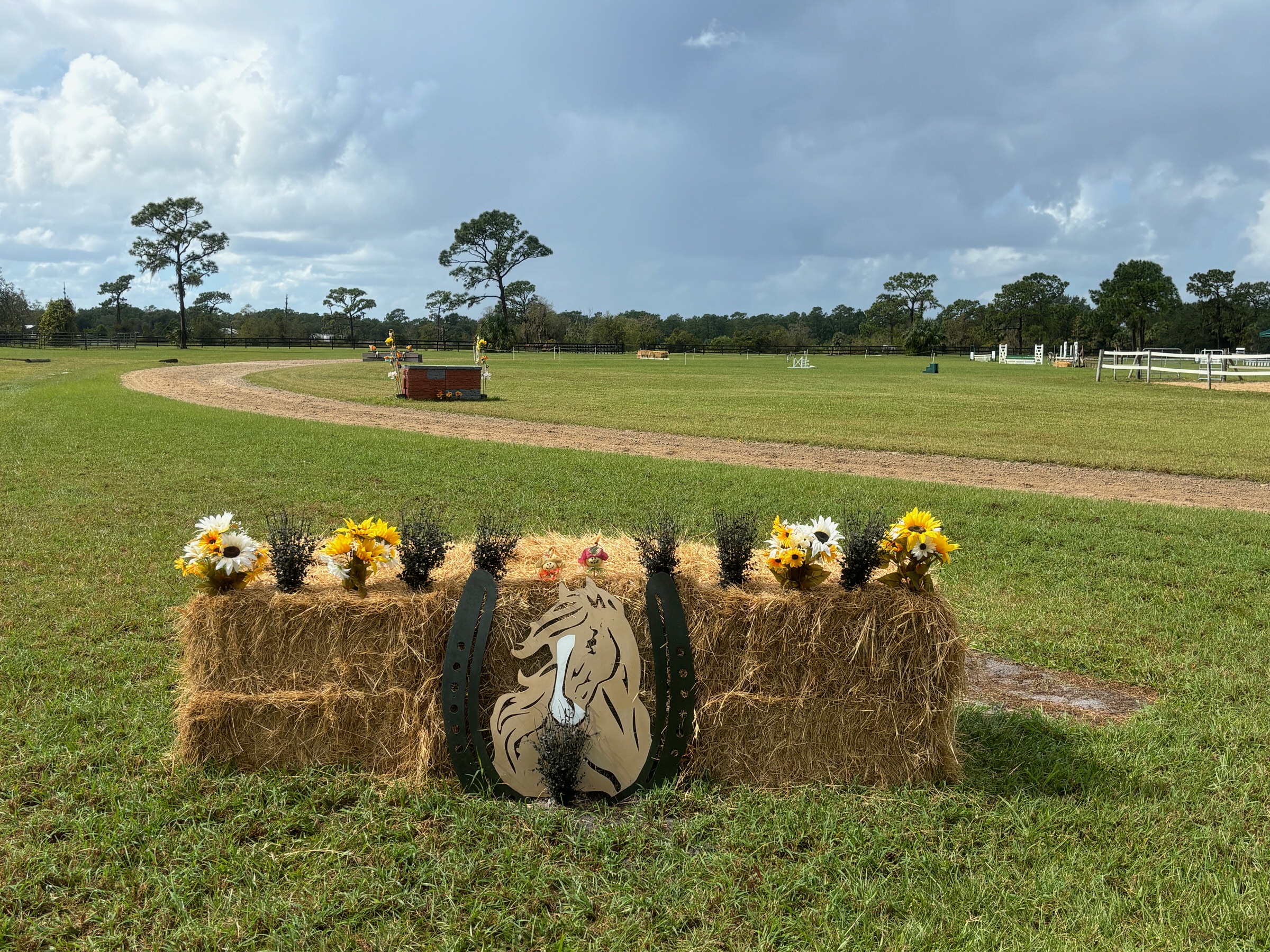 Mikenda Farm Rider